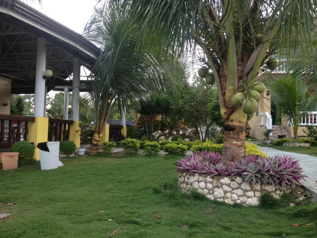 Moalboal Beach Resort Alcantara  Εξωτερικό φωτογραφία